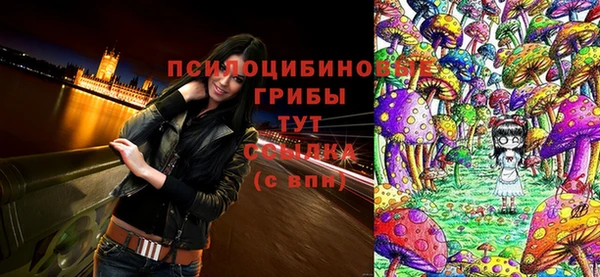 apvp Волосово