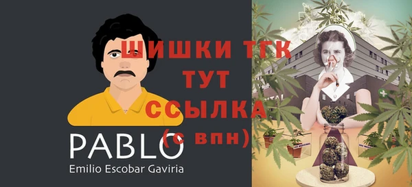 стаф Верея