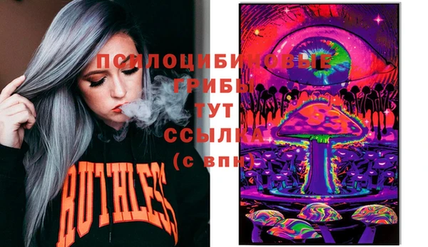 стаф Верея