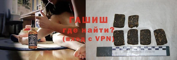 стаф Верея