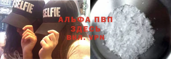 стаф Верея