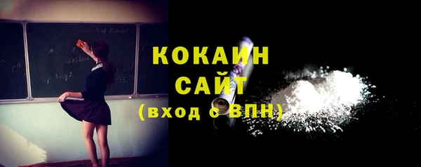 гидра Володарск