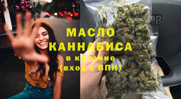 крисы Верхний Тагил