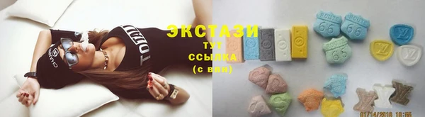 стаф Верея