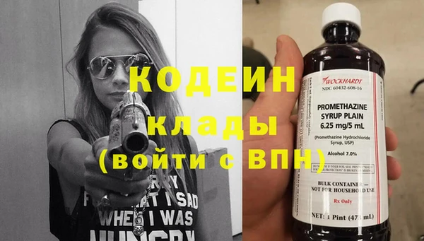 крисы Верхний Тагил