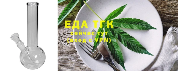 стаф Верея